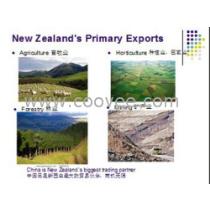 2019年因私出入境中介服务市场 批发商角色的深化与挑战