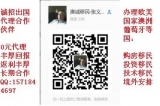 盘锦因私出入境中介服务 如何选择可靠机构？